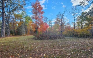 Lot 42, Lot 43 Stone Pine Cable, WI 54821